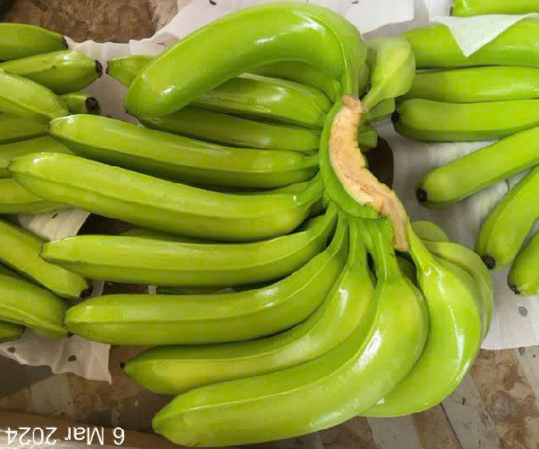 Cavendish Banana